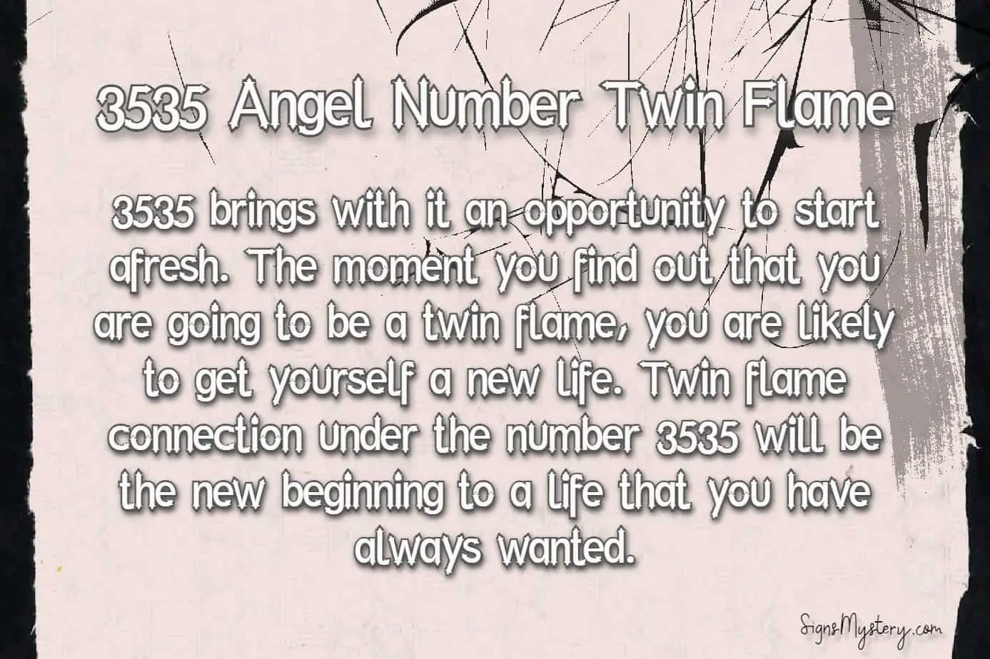 3535 angel number twin flame