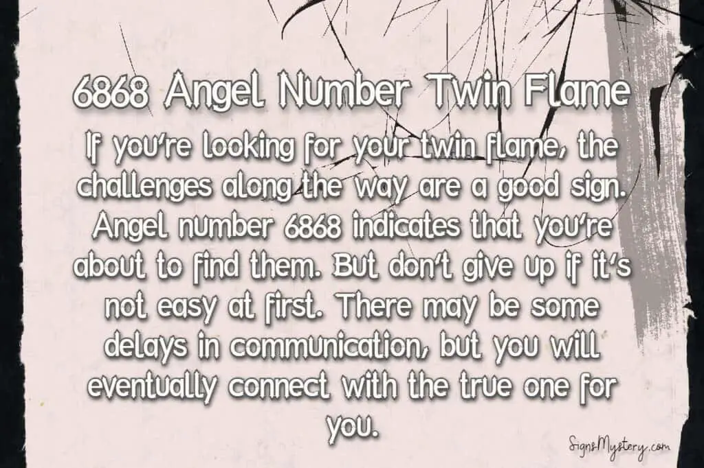 6868 angel number twin flame