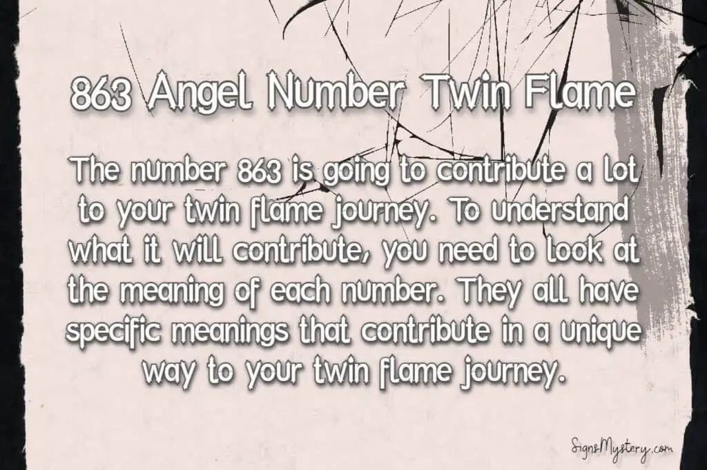 863 angel number twin flame