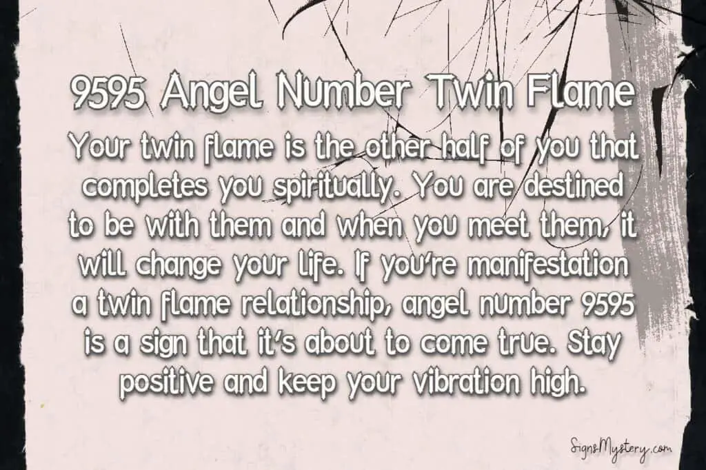 9595 angel number twin flame