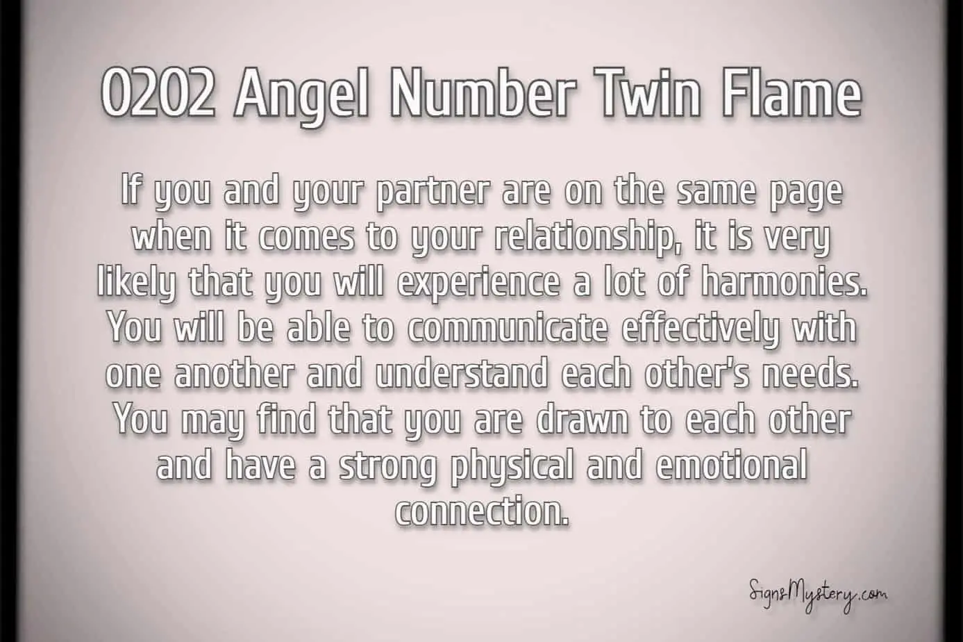 0202 angel number twin flame