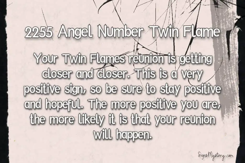 2255 angel number twin flame
