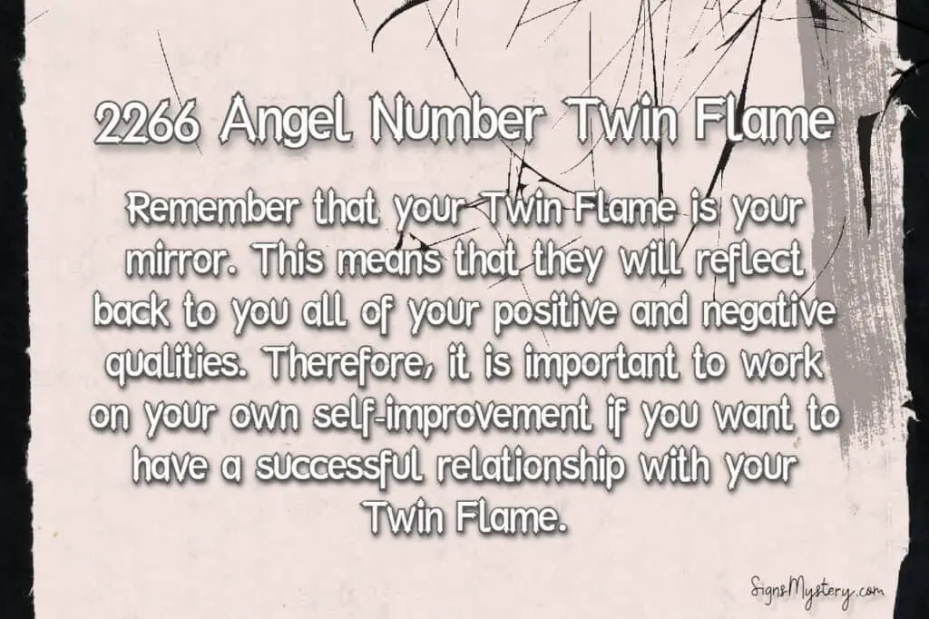 2266 angel number twin flame