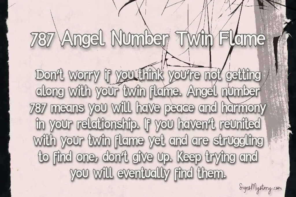 787 angel number twin flame