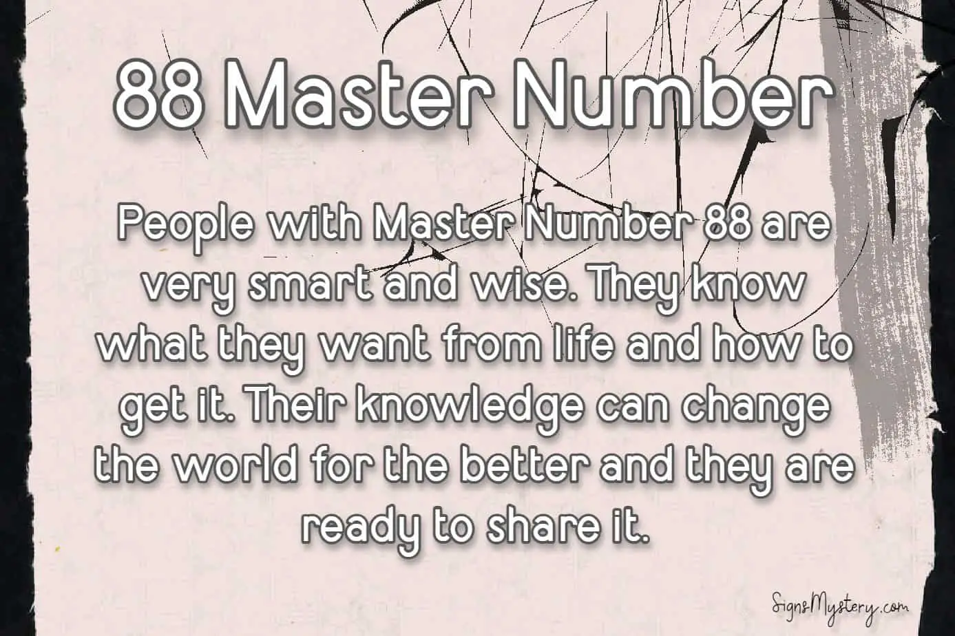 master number 88