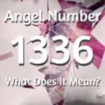 1336 Angel Number: You Are Being Protected