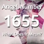 1655 Angel Number: Trust Your Instincts