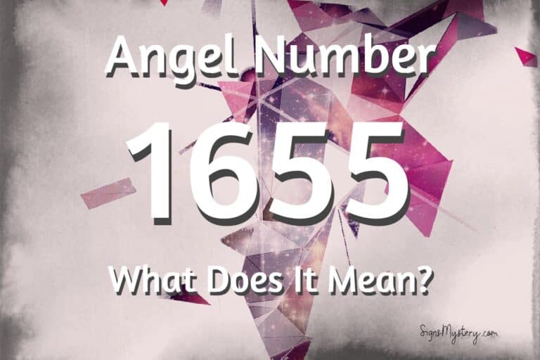 1655-angel-number-trust-your-instincts-signsmystery