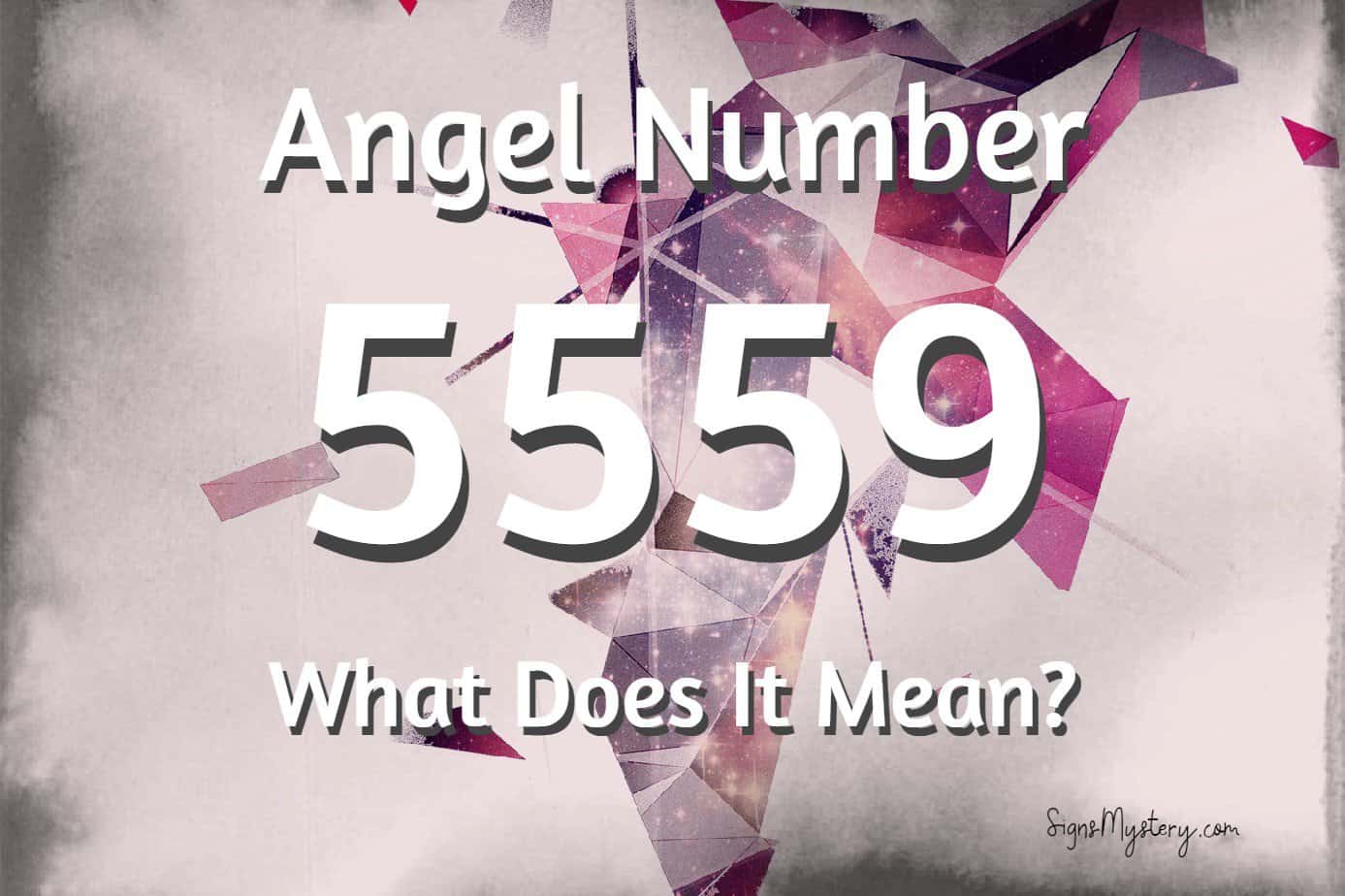5559 angel number