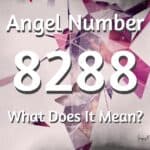 8288 Angel Number: Start a New Adventure