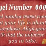 Unlock the Meaning of the 0000 Angel Number and Discover Your Life Path!