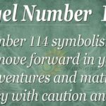Unlock the Power of Love with the 114 Angel Number!