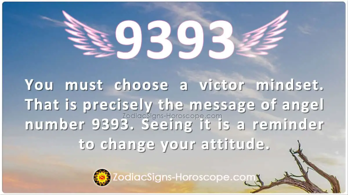 Numerology Of 9393