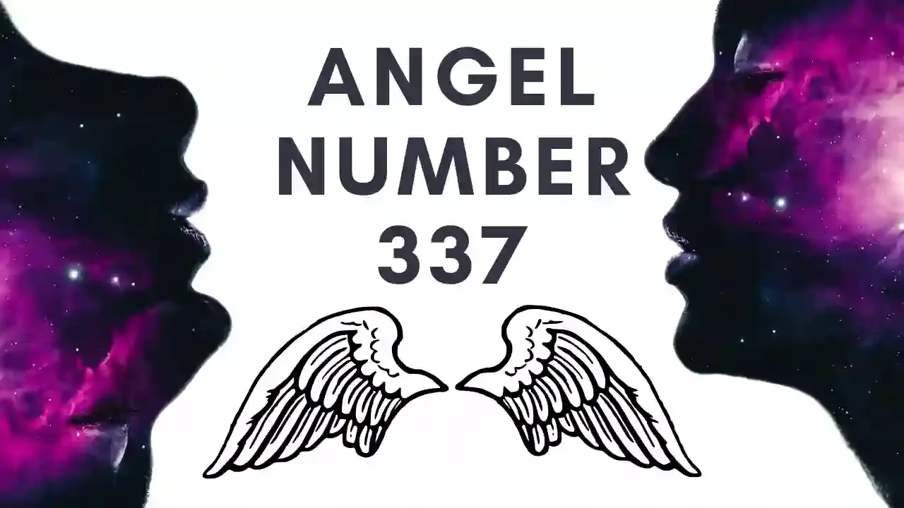 The Attributes Of The Number 337