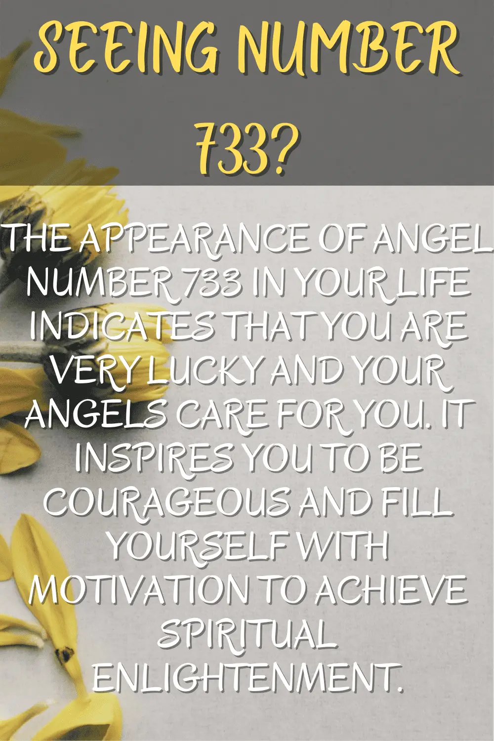 The Spiritual Significance Of 733