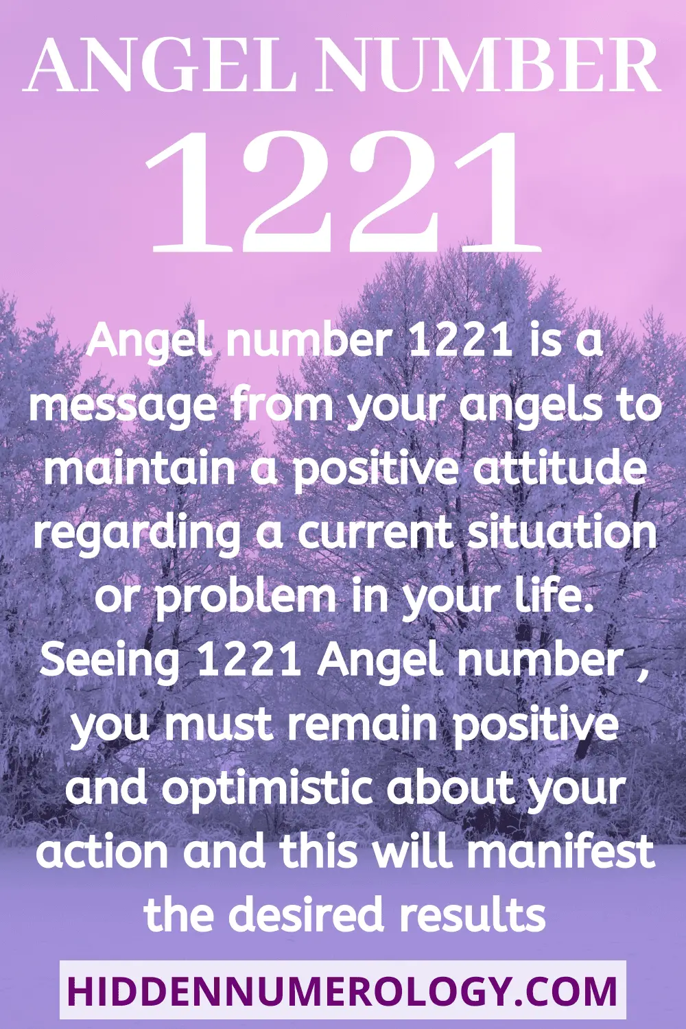 What Is The Meaning Of 1221?