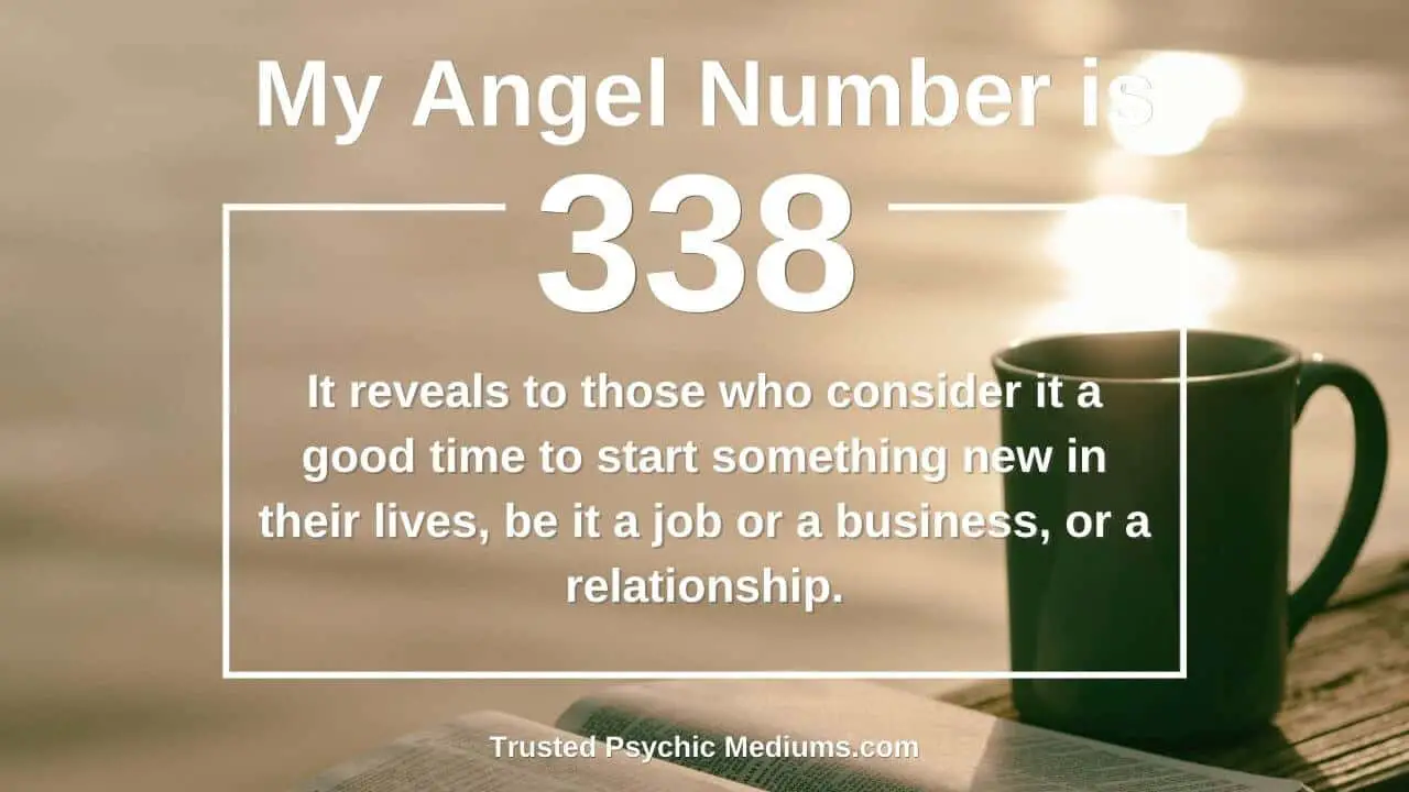 What Is The Meaning Of The Number 338?