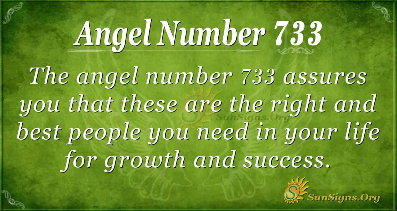 What Is The Meaning Of The Number 733?