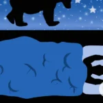 Uncover the Hidden Meaning of Bears in Your Dreams