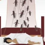 Unraveling the Symbolism Behind Dead Flies Dream Meaning