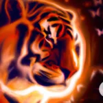 Unlocking the Hidden Meaning Behind Orange Tiger Dreams