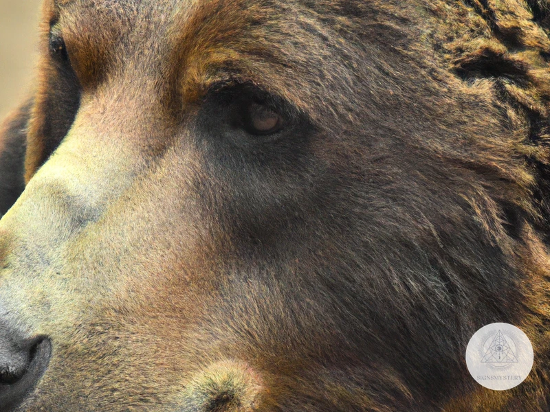 The Meaning Of Brown Bear Dreams In Different Cultures