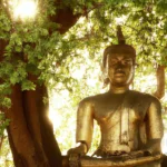 The Role of the Bodhi Tree in Buddhist Culture and Beliefs