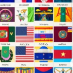 A Brief History of OAS Flags