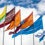 Controversies and Challenges Surrounding OAS Flags
