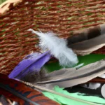 Types of Feathers Used in Shamanic Practices