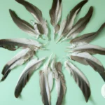 Ethical Collection and Cleaning of Feathers for Shamanic Use