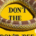 The Significance of the Gadsden Flag in American History