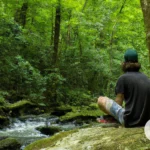 Nature-Based Therapy for Mindfulness and Inner Peace