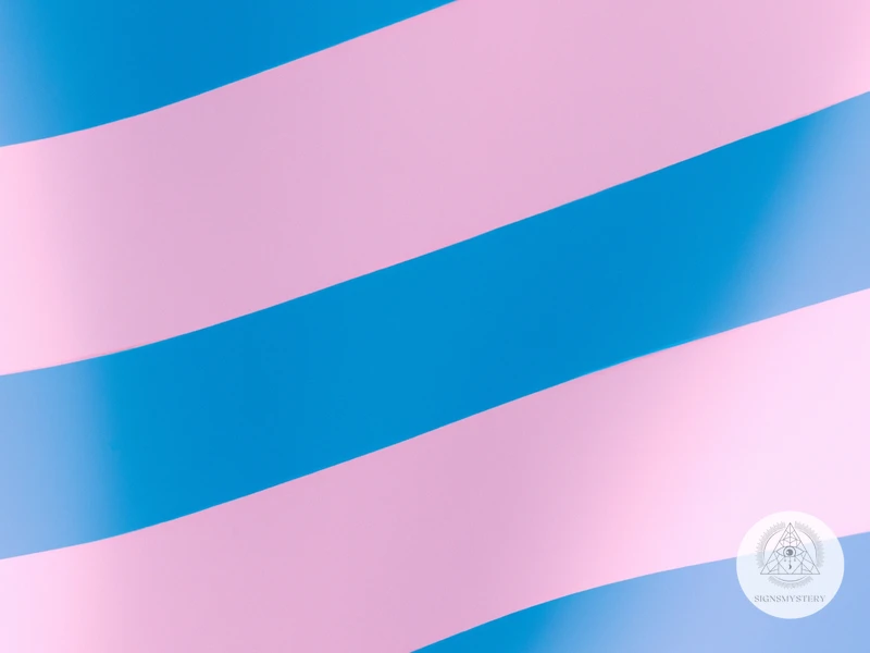 The First Transgender Flag