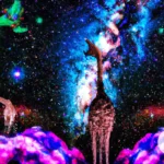 Lucid Dreaming and Meeting Dream Spirit Animals