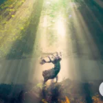 Deepening Your Spiritual Connection: Celtic Animal Spirit Guides