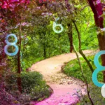 Numerology Careers: Finding Your Life Path