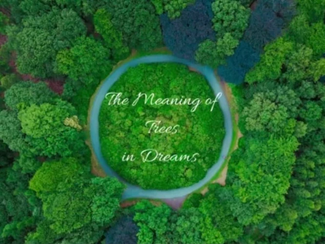1. The Significance Of Trees In Dreams
