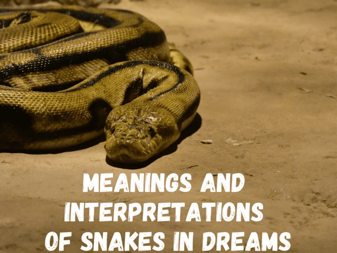 Alternative Interpretations Of Killing A Snake In Dreams