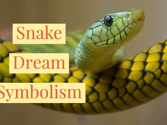 Analyzing The Symbolism Of Snake Chasing Dreams