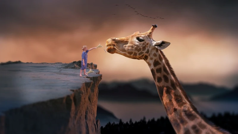 Analyzing Your Giraffe Dreams