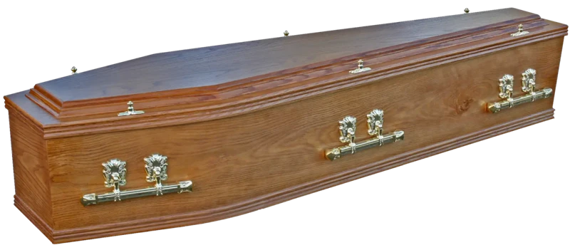 Biblical Meaning Of Coffin In Dreams