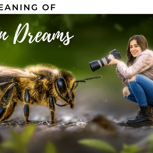 Common Bee-Related Dream Scenarios