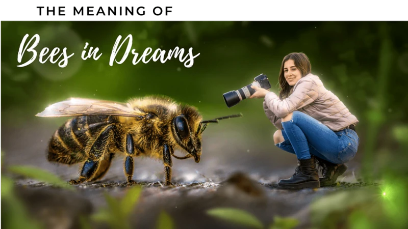 Common Beehive Dream Scenarios