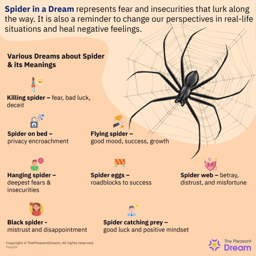 Common Black Spider Dream Scenarios