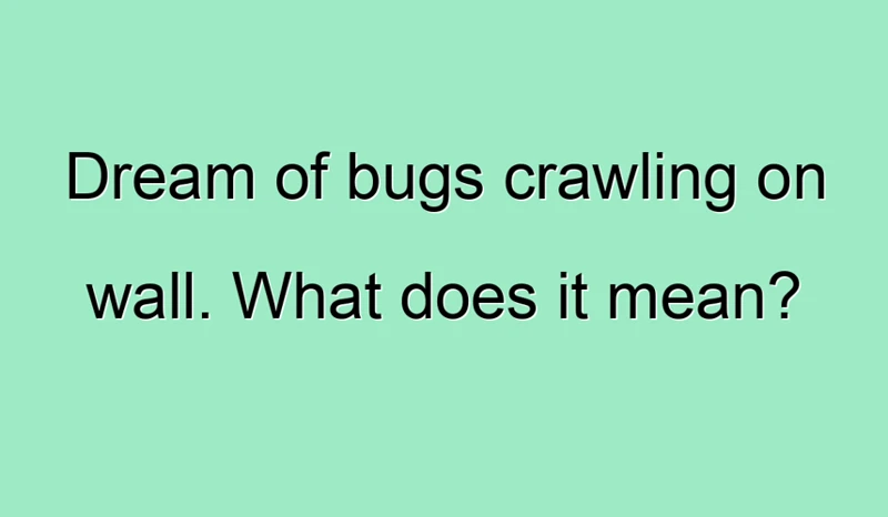 Common Bug Dreams And Their Interpretations