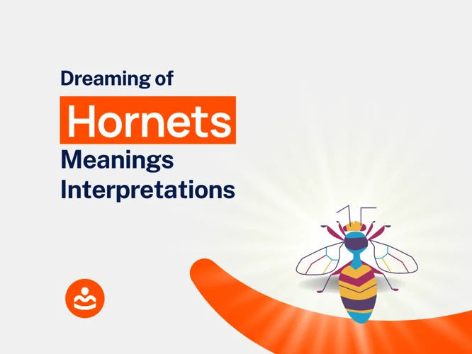 Common Dream Scenarios With Hornets