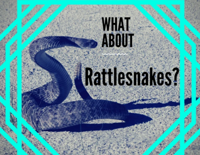 Common Dream Scenarios With Rattlesnakes