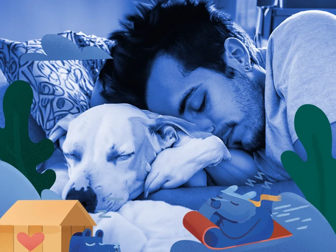 Common Dream Scenarios With White Dogs