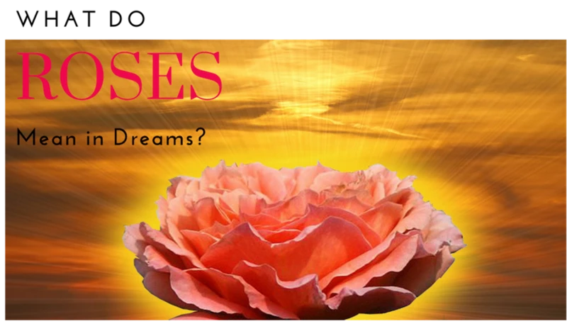 Common Dream Symbols Associated With Roses